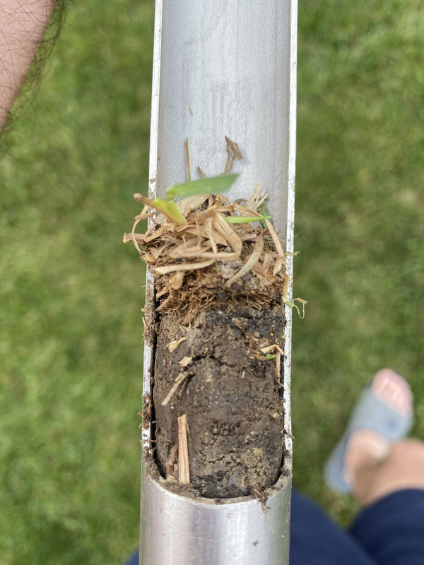 B5F84B75-0D25-4961-90EE-D805CB62327F