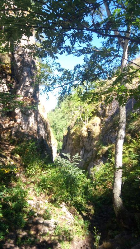 P_20180816_111818[1]