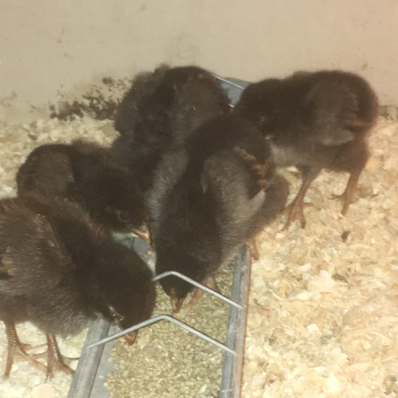 5A89537A-17C8-41D6-8EB1- 398241E00576