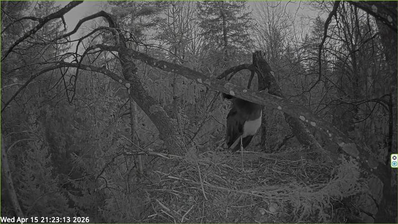 2026 04 15 p 21 23 13