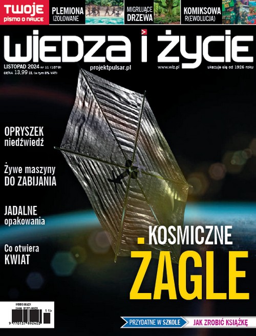 Wiedza I Życie 11/2024