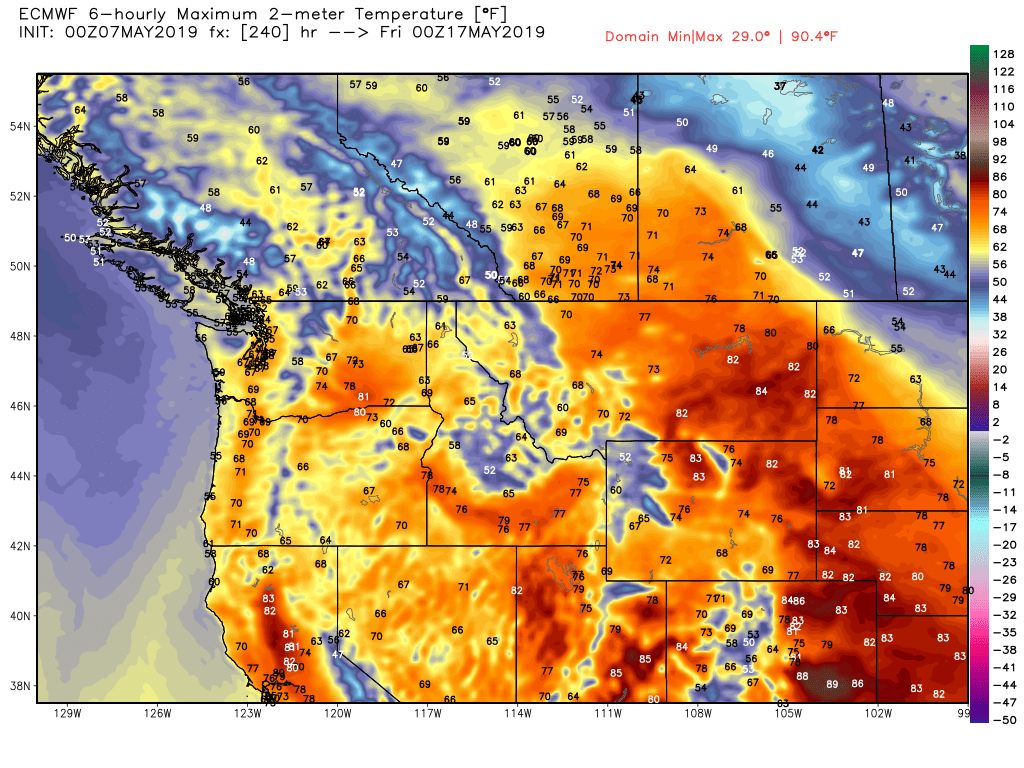 ecmwf-t2max-nw-41.png