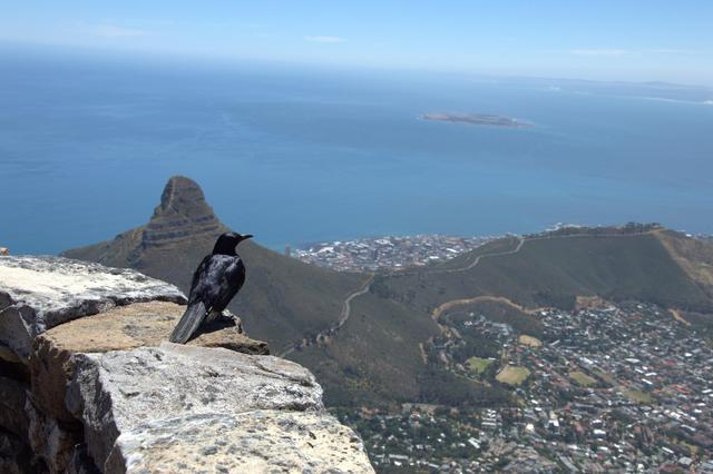 DÍA 4: CAPE TOWN - Sudáfrica y Seychelles 2018 - Una Honeymoon llena de vida (7)