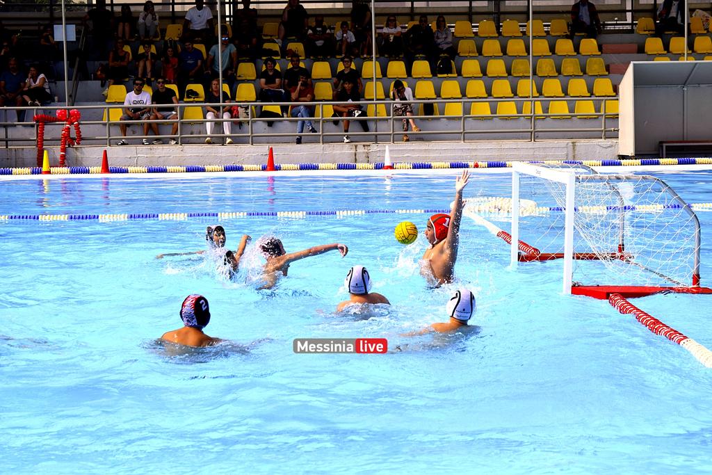 ARGHS-MIKROIDSC-0490