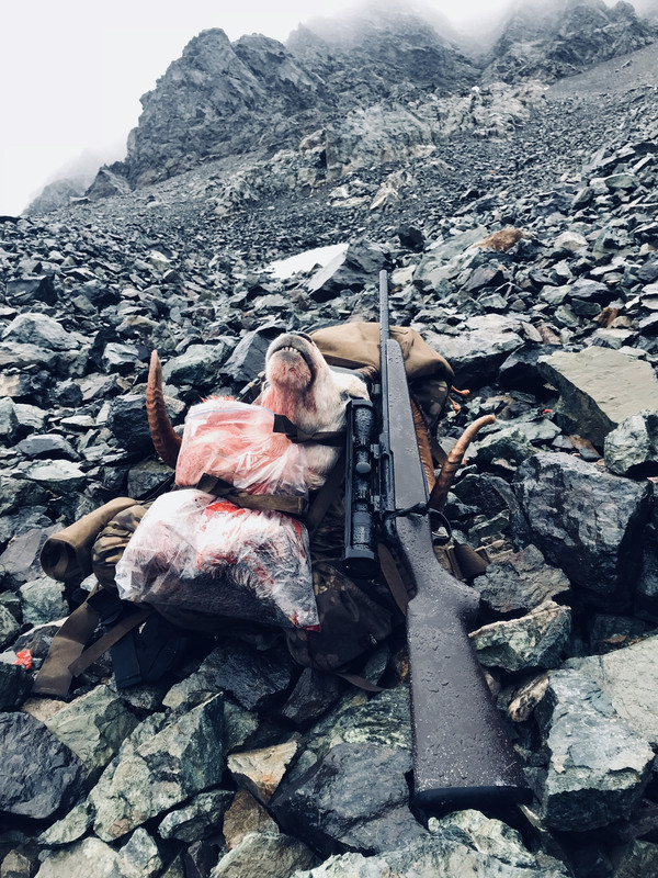 80C84601-2826-4A7B-B587-7816789DEF18