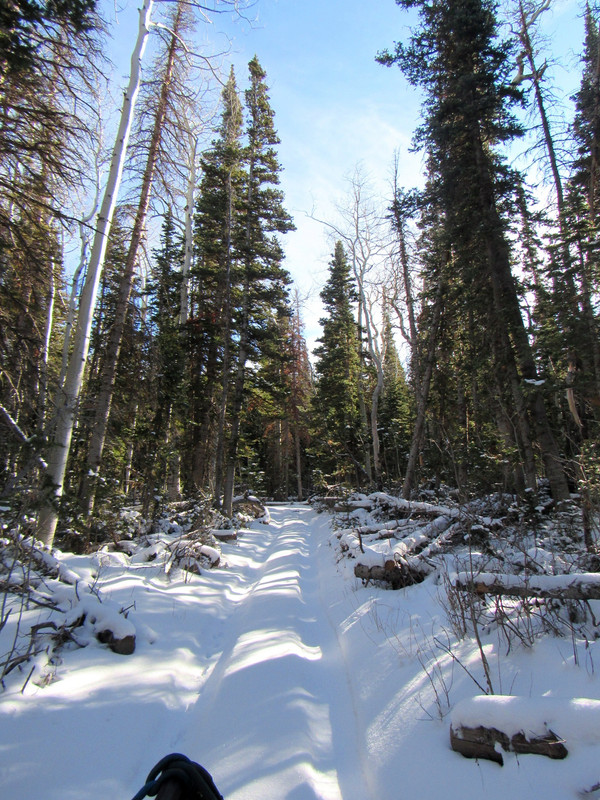 IMG 3709 — Postimages