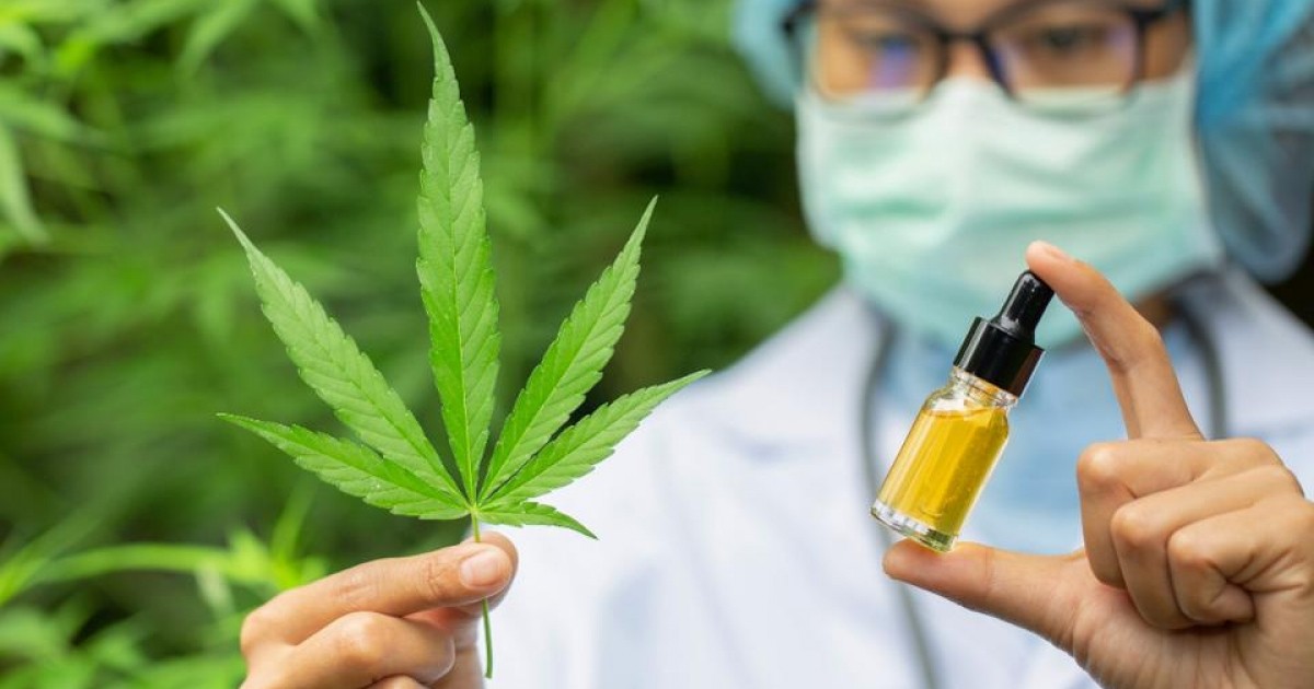 Tailandia, el primer país asiático en legalizar la marihuana