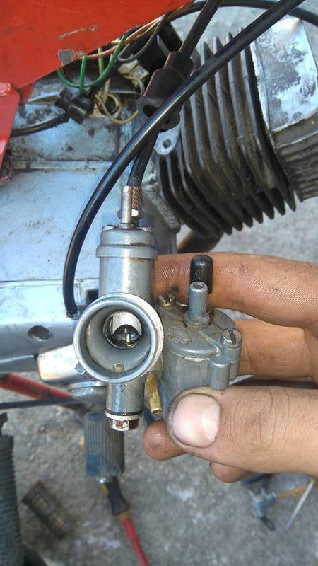 1913929_463536697166673_6853846121072109941_n