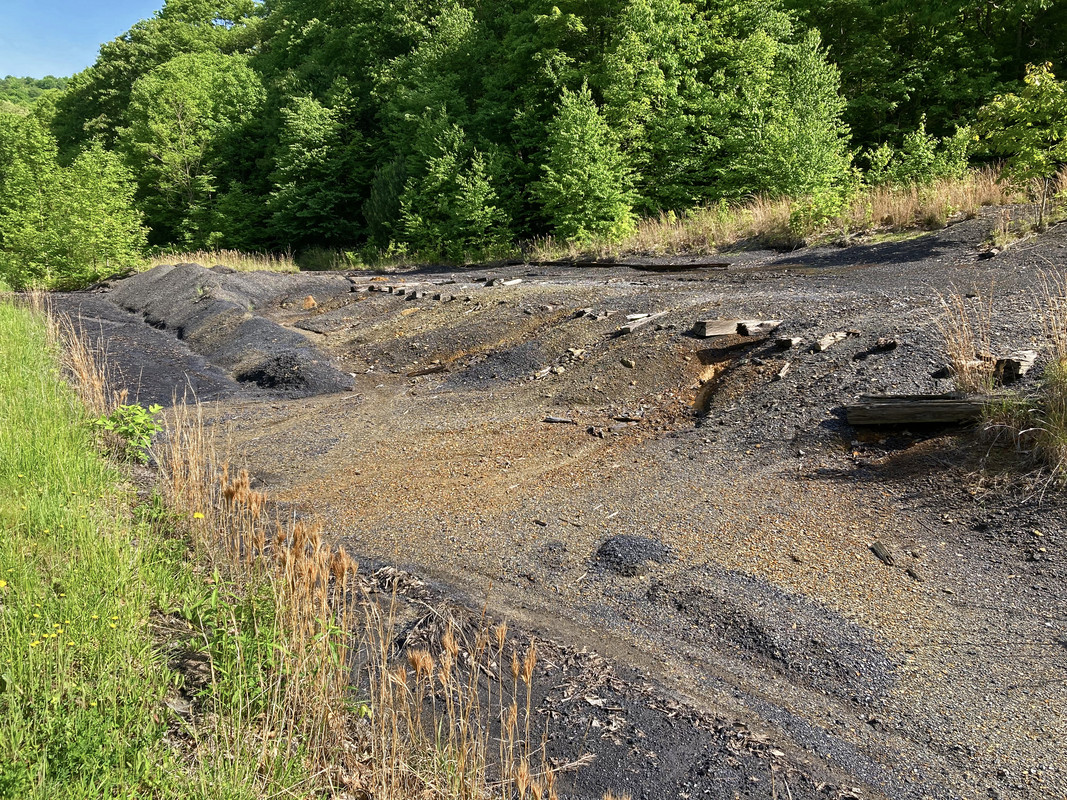 2024-05-20 Ghost Town Trail 24 - mine spoils