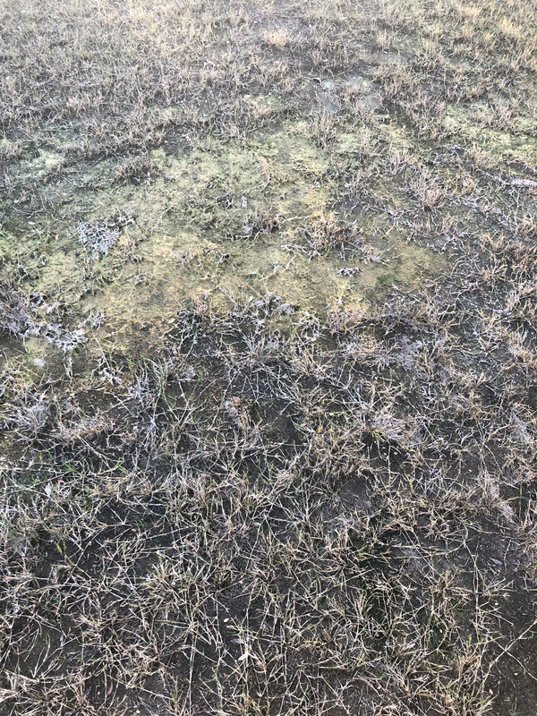 E25926A5-AD01-4508-8D96-1552F6A0758D