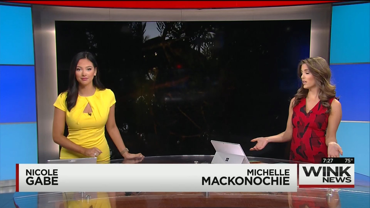 10.25 - 10.00.00 - WINK News @ 6 00AM Sunday..ts_snapshot_28.31.447