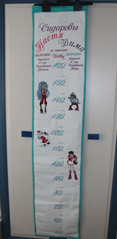 ростомер (3)