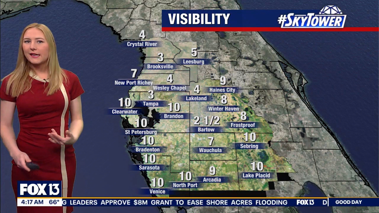 FOX13s Good Day Tampa Bay at 400am_20240322_08000830.ts_snapshot_06.55.724