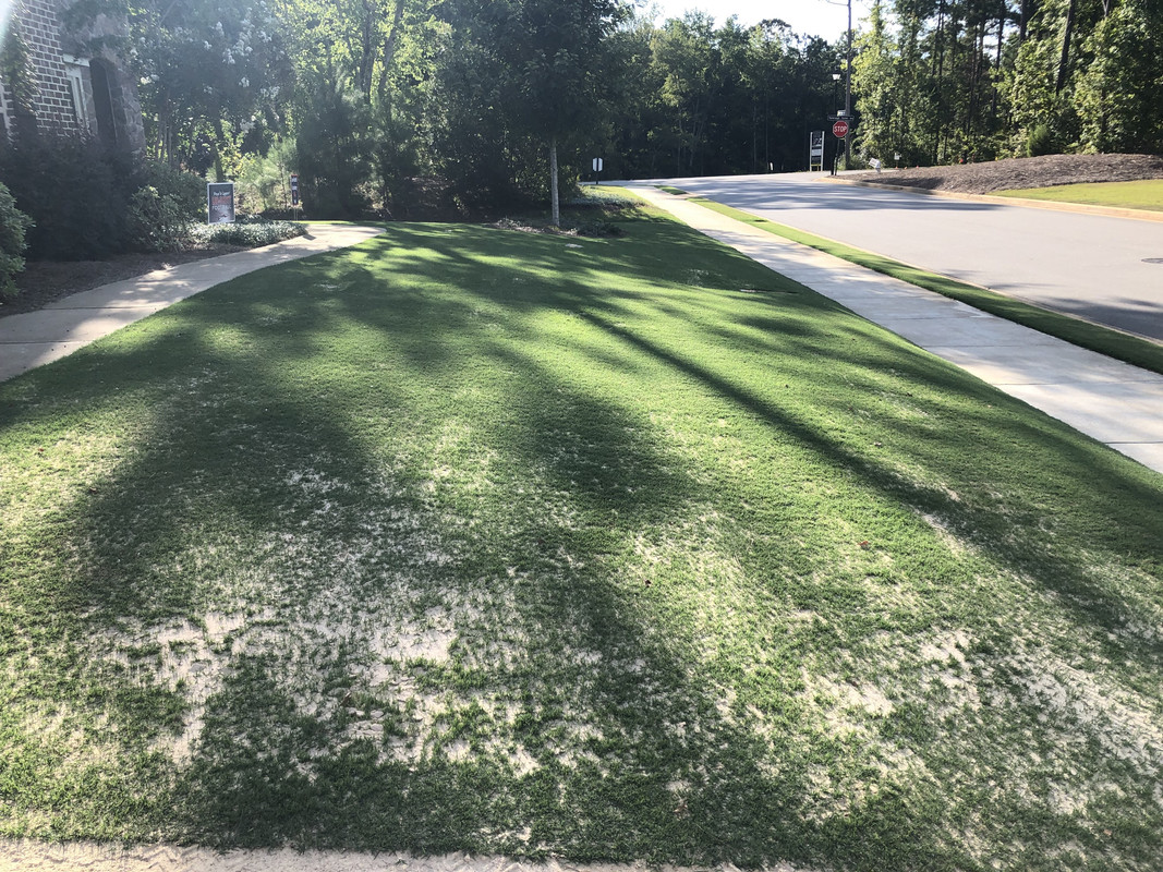 8295DEE6-70EC-4BA4-834B-8DA7EA21F66F