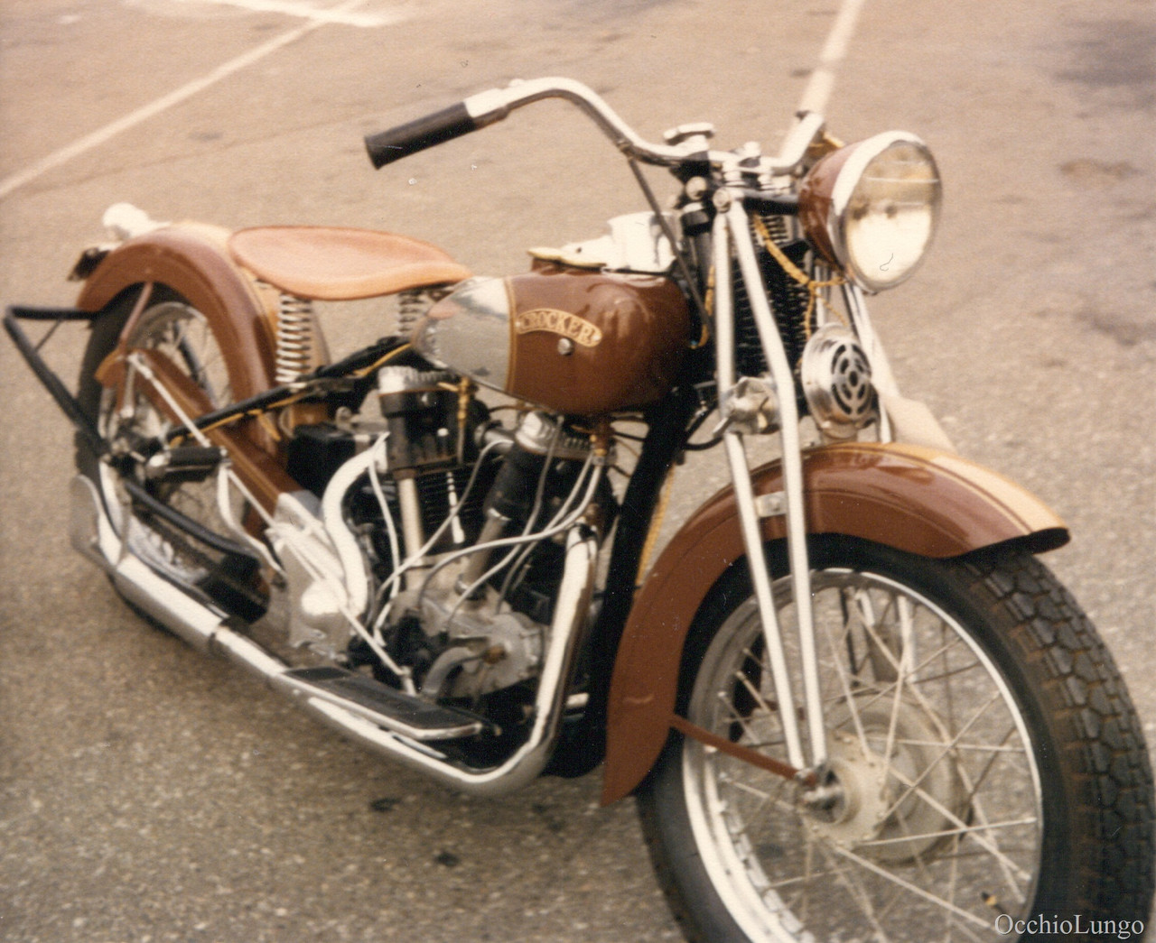 skeltons badger