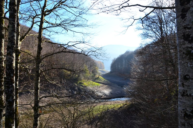 SELVA DE IRATI-14-11-2015-NAVARRA - Paseando por España-1991/2015-Parte-1 (88)