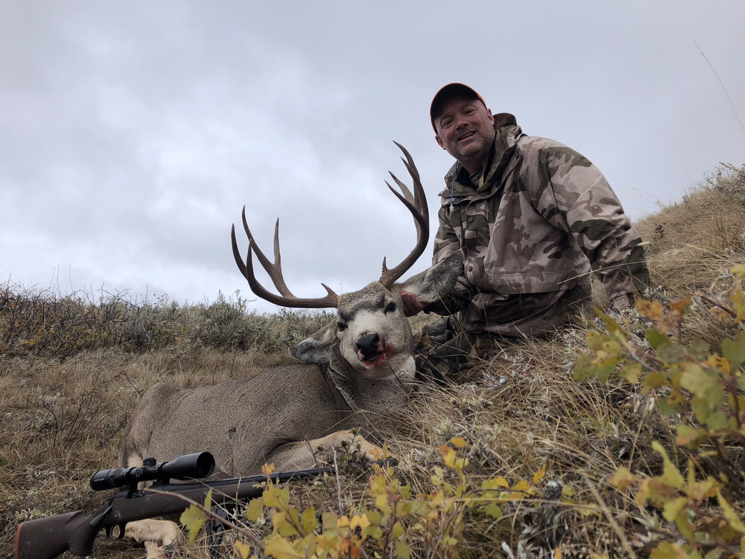 020E4251-62D1-4ED6-A15F-57C97C08B19F