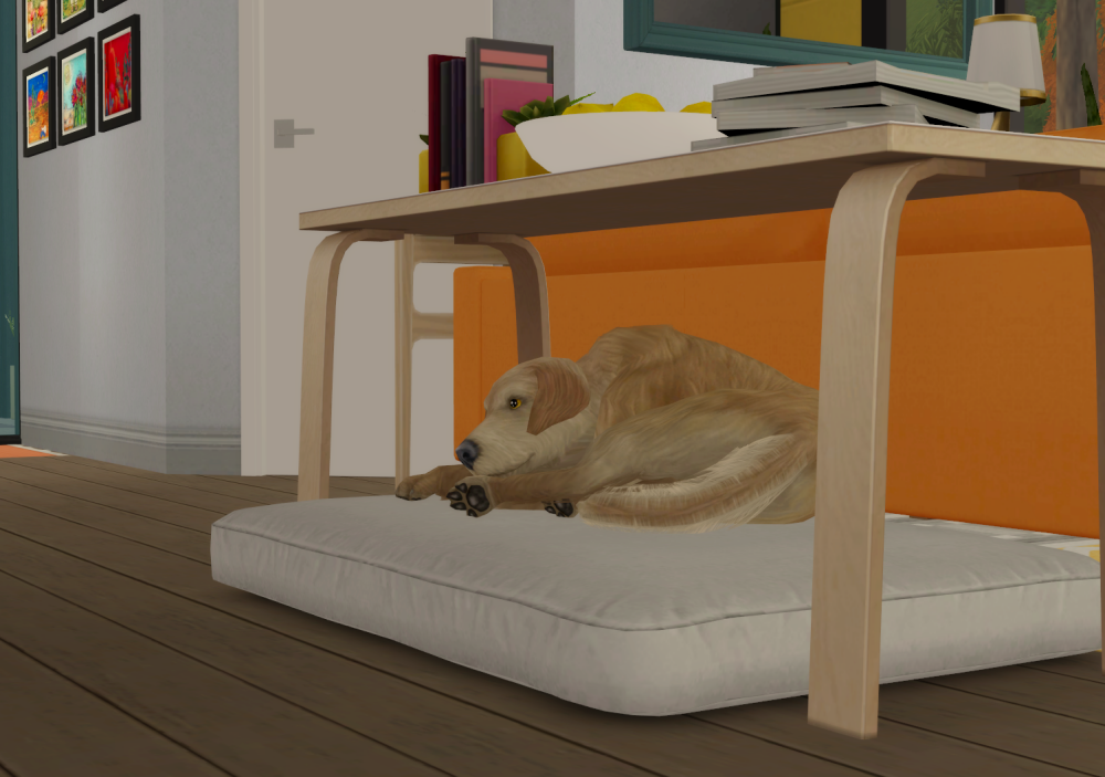 Sims2-EP9-RPC-2022-02-06-22-17-15-81