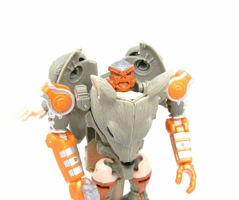 10343534_776287185724813_322528559375396046_n