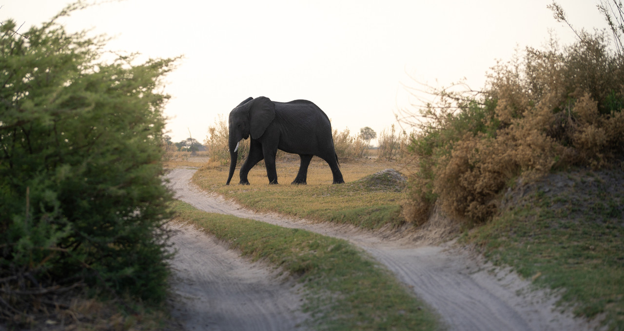 Photo étape Maun
