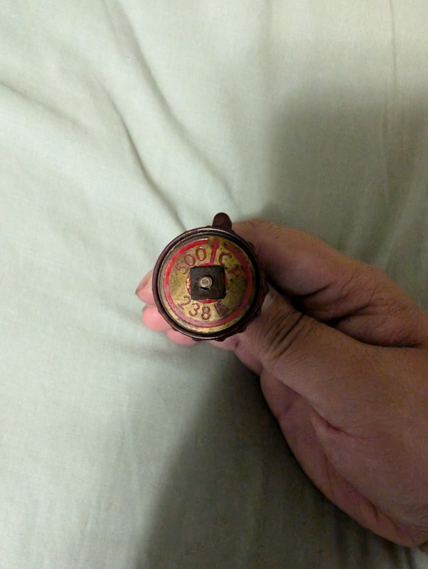 PXL_20240618_105308044