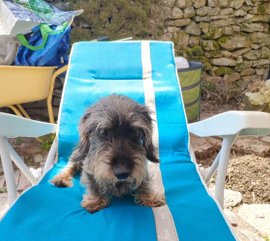 [Image: 20230714-115349.jpg]