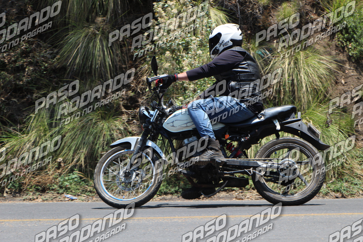 IMG 8442 wm 7122600 3 watermarked — Postimages