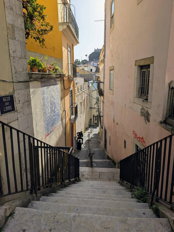 641564432 25560237667009196 1144793825976483239 n