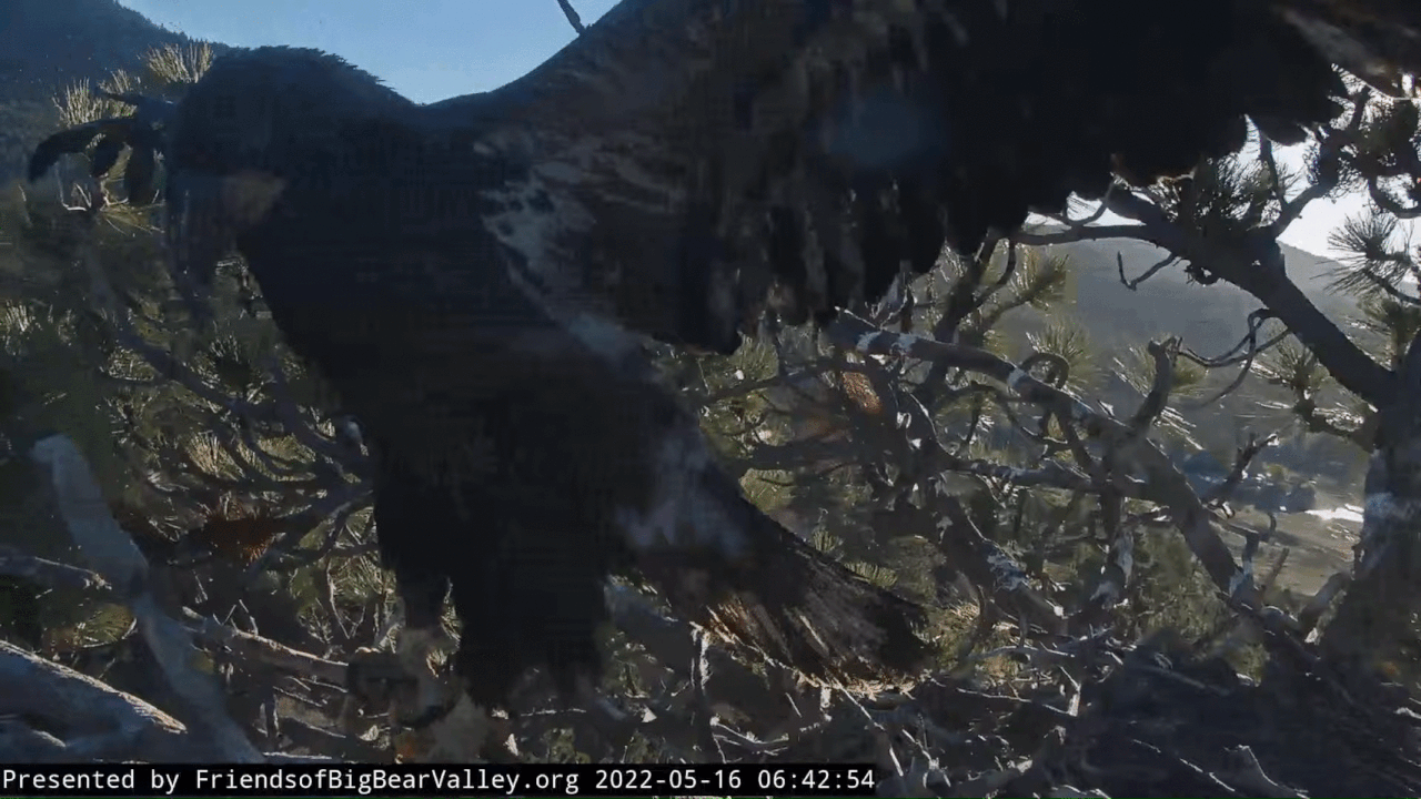 Webp.net-gifmaker (1)