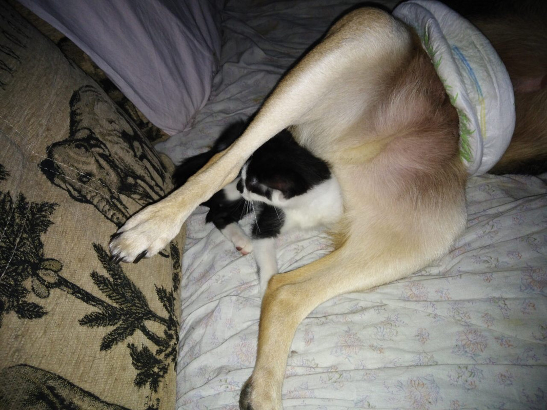 F50AFE44-044C-4E3C-954A-9EA24DAB8952