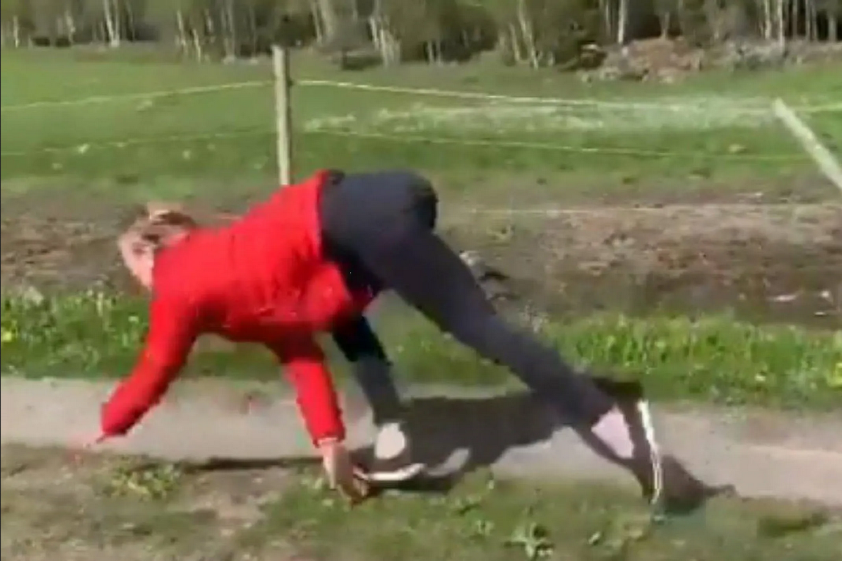 Mujer caballo se hace viral por sus impactantes videos: galopa y salta