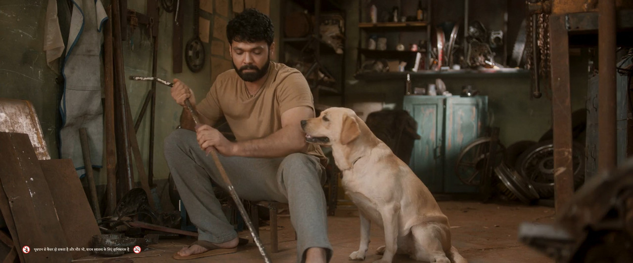 Download 777 Charlie (2022) WebRip [Hindi + Tamil + Telugu + Malayalam + Kannada] ESub 480p 720p 1080p