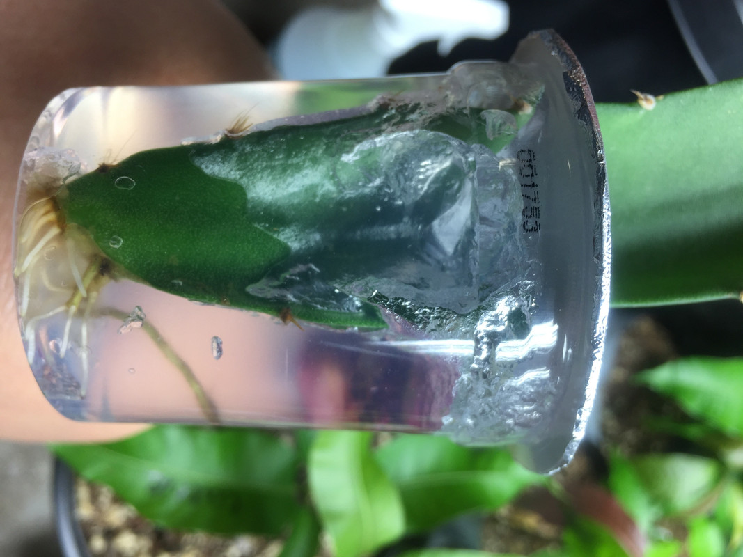 F30B3ABA-FDD7-4639-8051-C1E07E9DE4BE