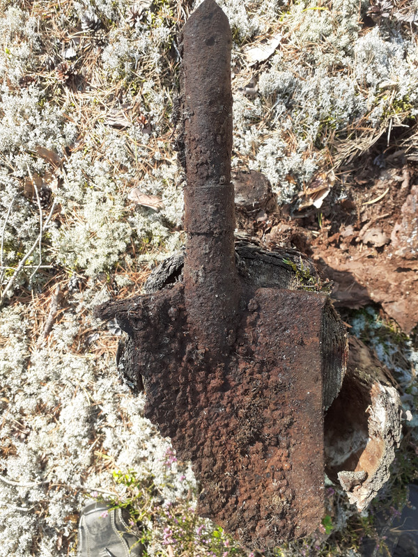 20210904_114814 – kopio