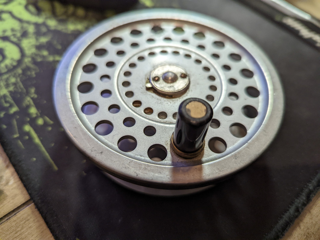 PXL_20220405_022350133