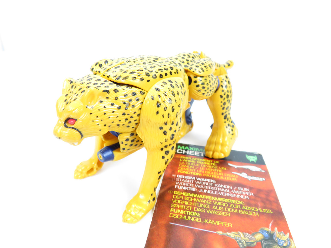 86390881_3342229509124918_2031234413899022336_o