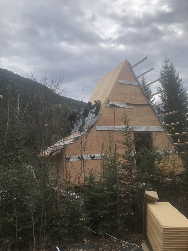 3A9B8DE3-D3CF-432B-9887-47190FFBBE02