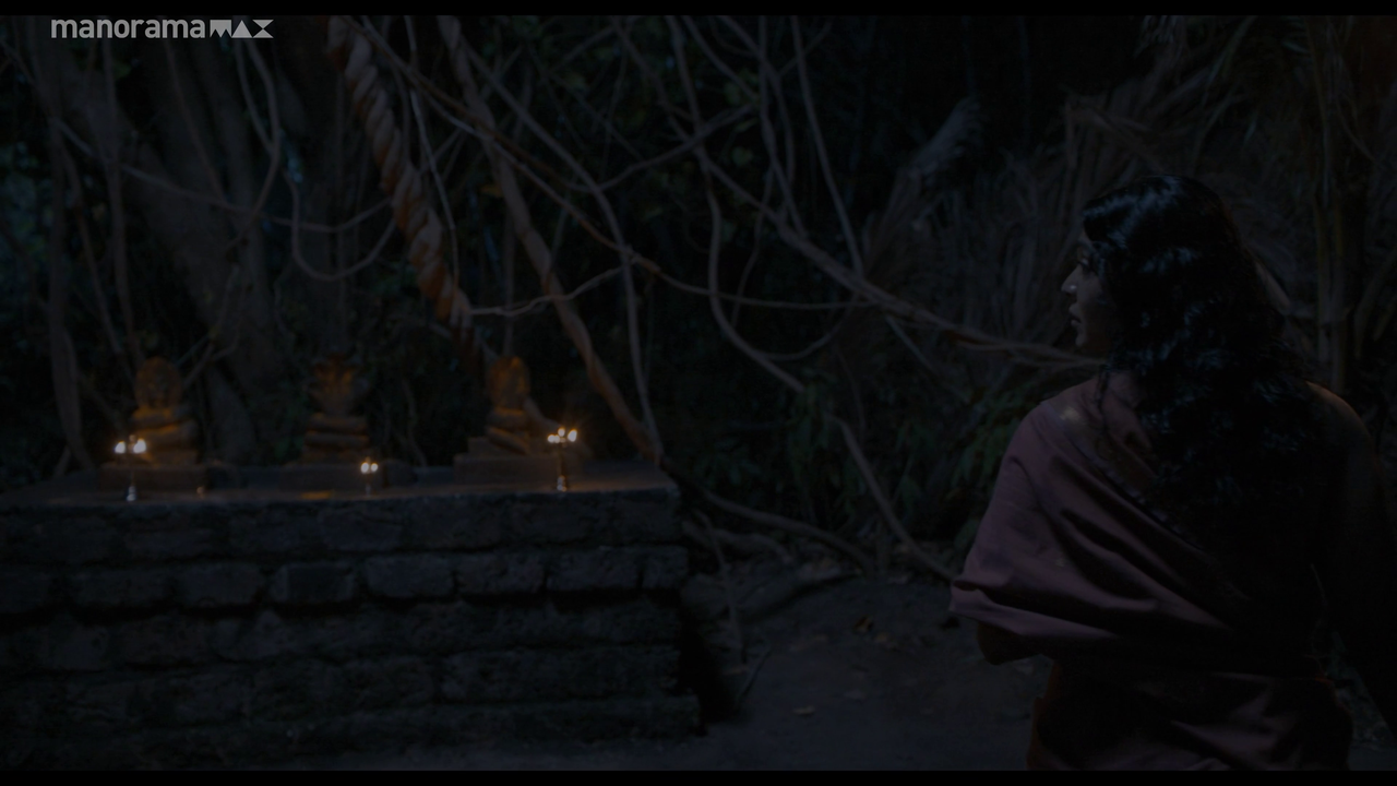 vlcsnap 2026 02 25 12h51m47s867