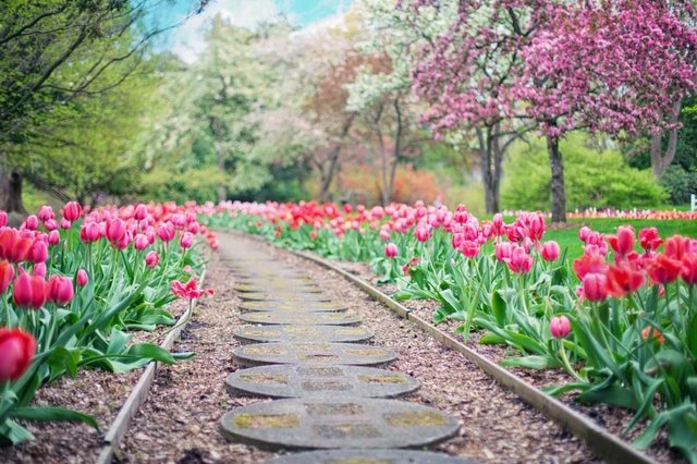 Fertilizantes inteligentes: las nuevas tecnologías ayudan a cuidar el planeta, a nuestras plantas y cultivos Flores-jardin