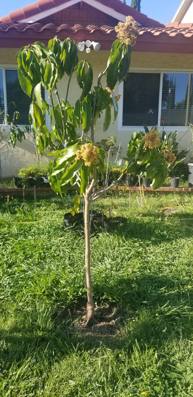 20190421_172113