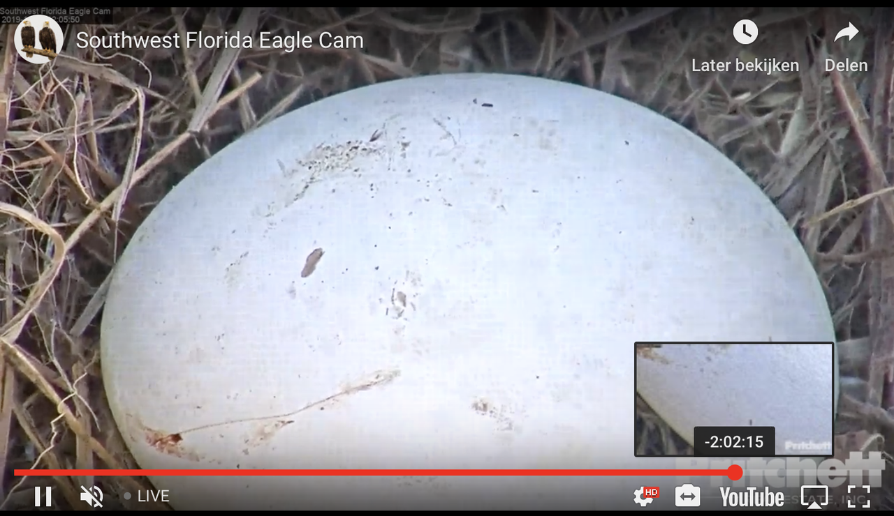 Zuid-West Florida 20191224-01 om 20.08.43