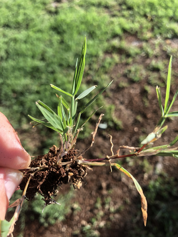 44738181-B640-451C-A5FC-7537849779A0