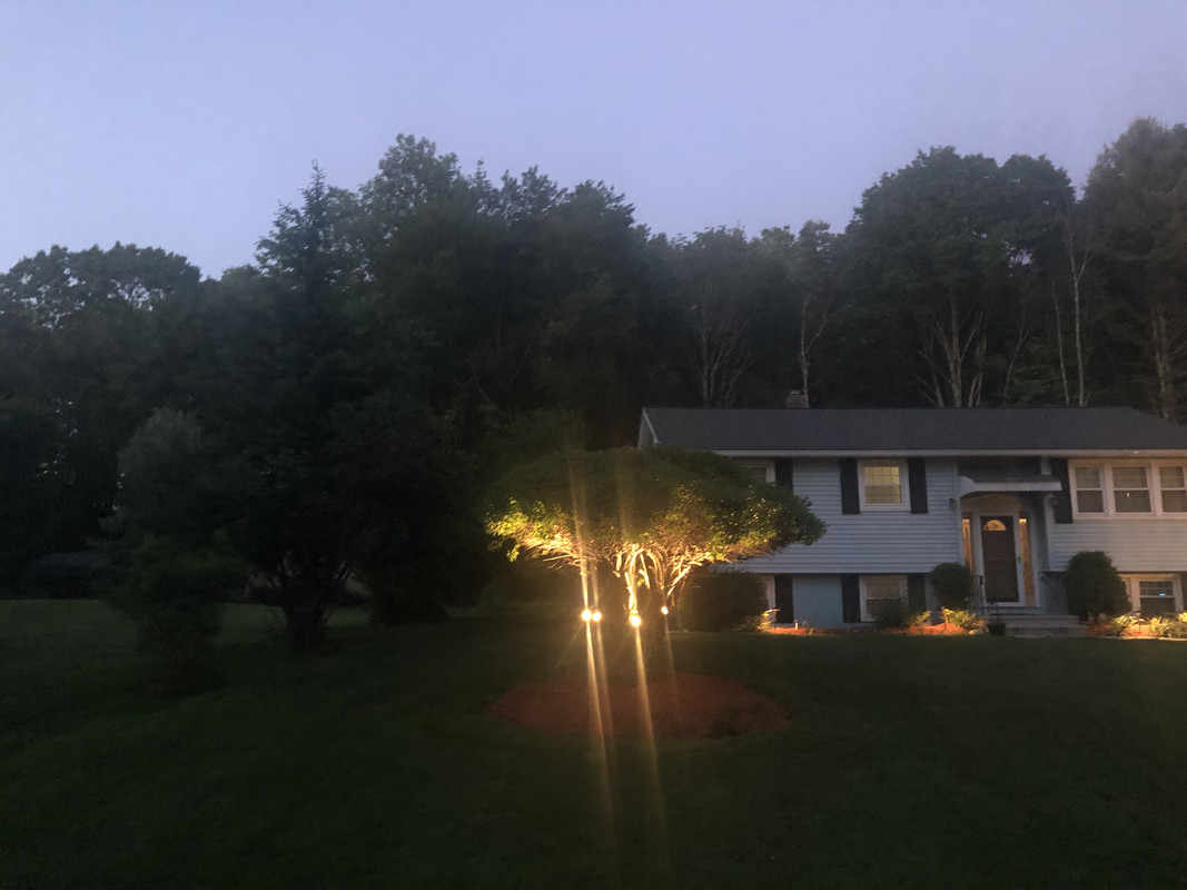 74F6E6B4-FC2B-448B-A2AE-39237F7A11ED