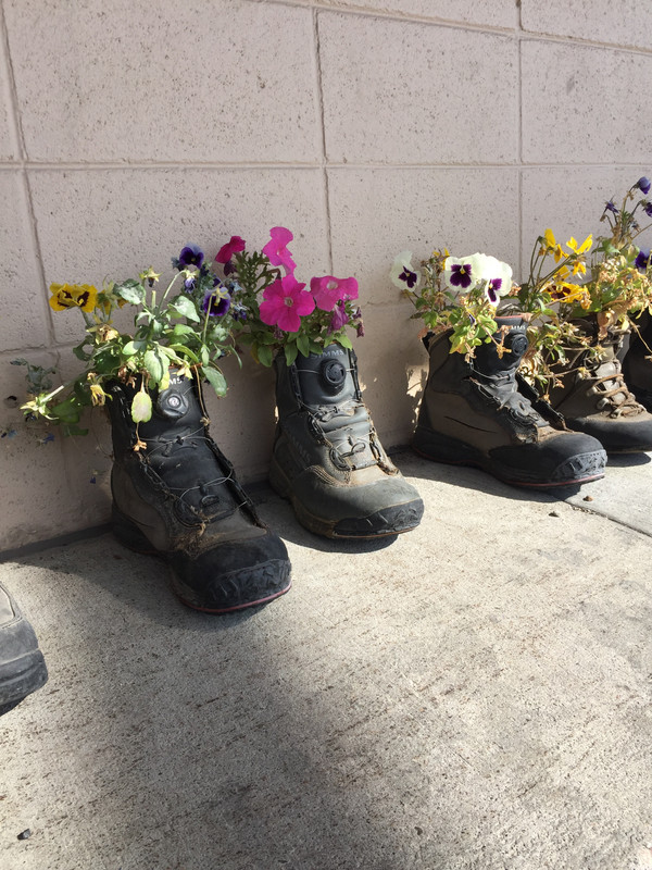 55006488-D9AB-4062-B86E-975F528759CD