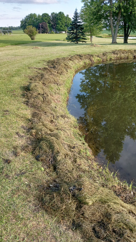 trout pond weeds 6:02:24