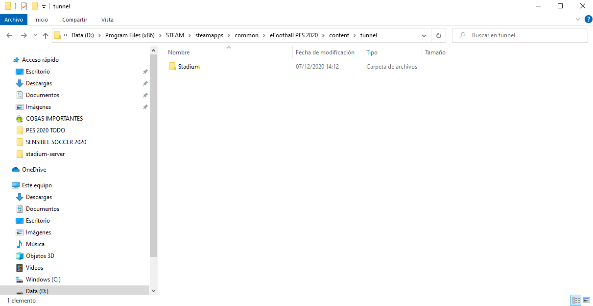 CARPETA TUNEL DENTRO DE CONTENT