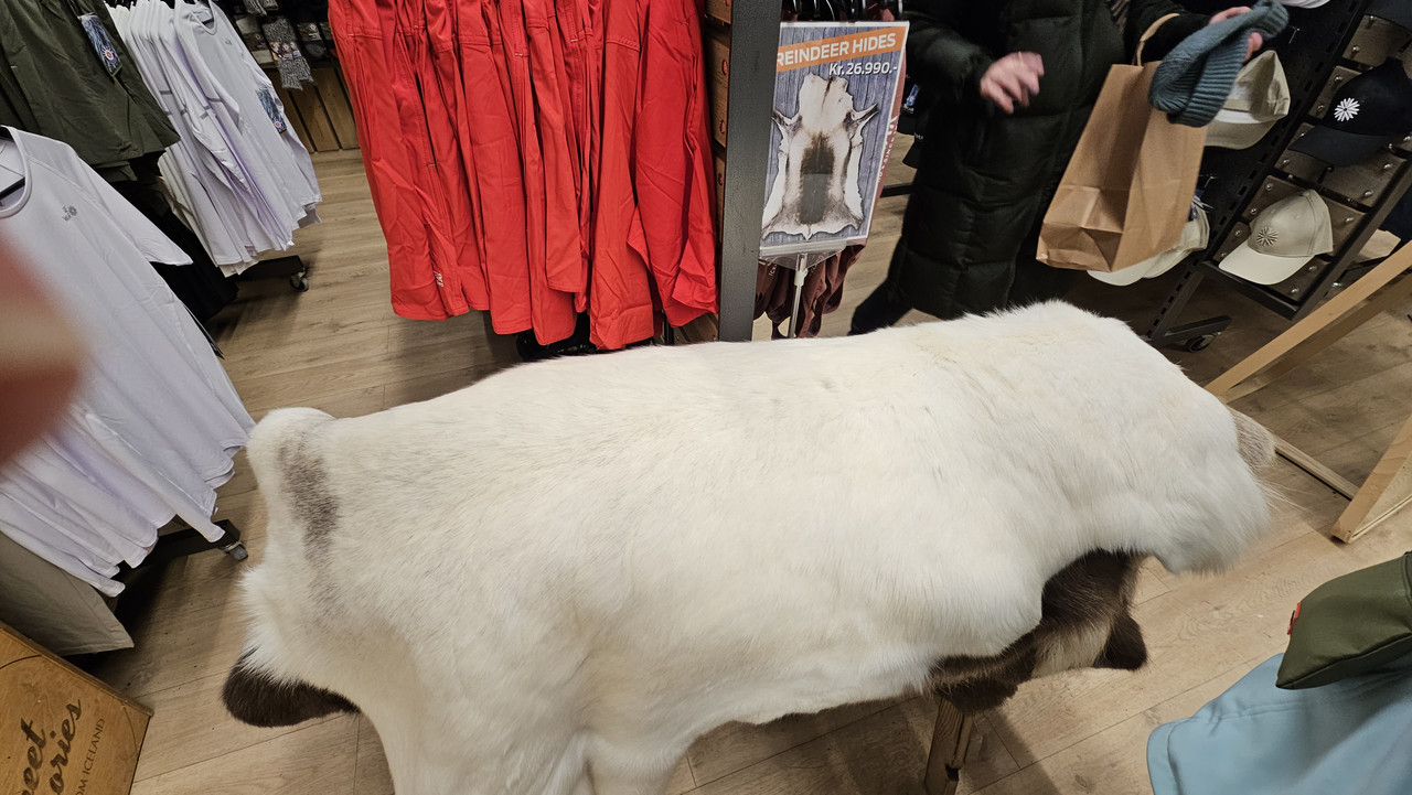 最佳伴手禮──馴鹿皮(X)