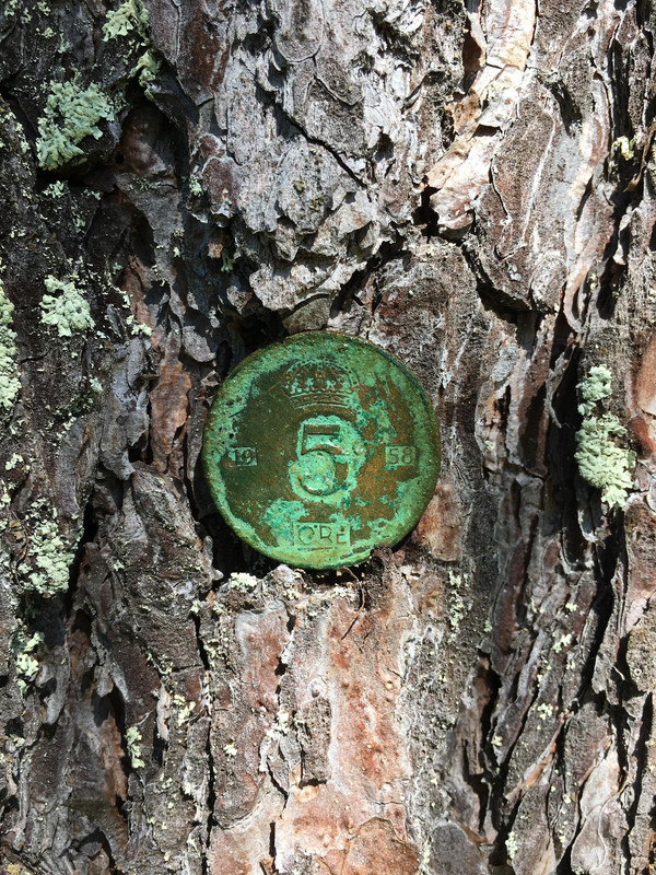 FF0D9CEB-FDA7-4269-90E0-FD57A245ADCA