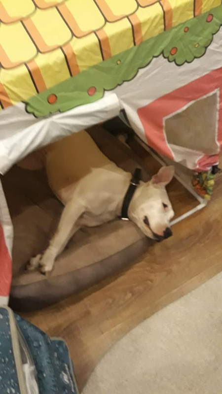 71B560A4-AEDE-4BE1-A196-E1C3E5429F5C