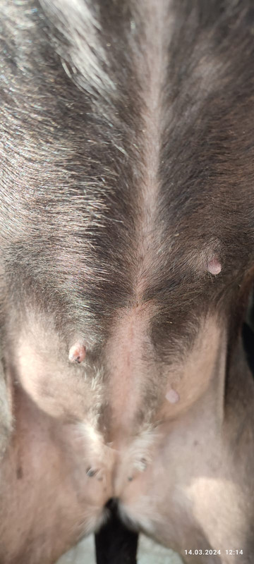 WhatsApp Image 2024-03-14 at 12.24.01 (1)